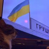 Логотип телеграм -каналу intermariu — ✙od morza do morza✙