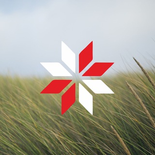 电报频道的标志 intermarium — Intermarium Minsk