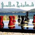 Logo saluran telegram internationalchess — International chess شطرنج عالمي