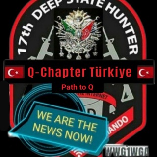 Logo des Telegrammkanals internationalcoronanews - Q-Chapter Türkiye 🇹🇷 🇩🇪