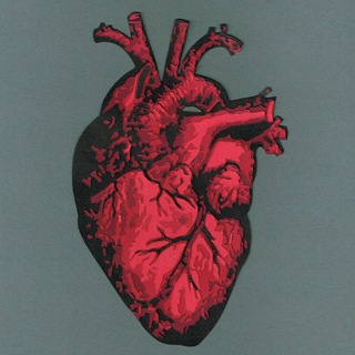 Логотип телеграм канала @intersmed — The Medicine