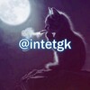 Логотип телеграм канала @intetgk — интеллигенция интернета