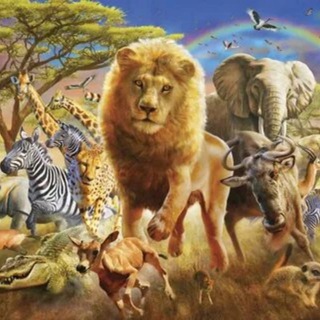 Логотип телеграм канала @intheanimalworld_tm — В Мире Животных