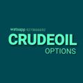 Logo des Telegrammkanals intraday_crrudeoill - CRUDEOIL 🛢🛢(option_trade) having experience of 8  years
