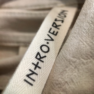 Логотип телеграм канала @introversionclo — Intro.Version