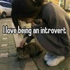 Логотип телеграм канала @introvertiyaa — Интровертия🩶