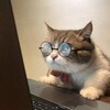 Логотип телеграм канала @intrsnv — интересновое