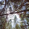 Логотип телеграм канала @inurbane_hinterland — (Не)изящный хинтерланд