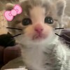 Логотип телеграм канала @inussuriyskloveeee — в уссурийске любят…