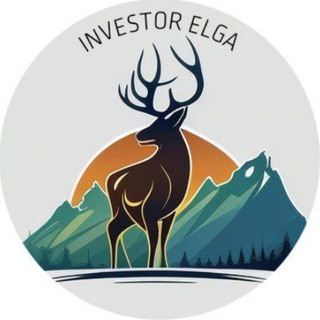Логотип телеграм канала @investorelga — Инвестор Эльга☄️