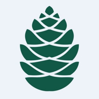 Логотип телеграм канала @investshishka — ИНВЕСТШИШКА