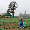 Логотип телеграм канала @invillagebelarus — Из Деревни в Деревню