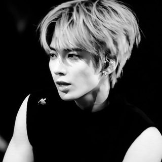 Логотип телеграм канала @iop_ruoi — поиск/сп/сᴇмьи/оҕպии ⱽⁱʳᵗ