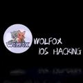 Logo saluran telegram ioswolfox — #WOLFOX TECH