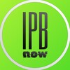Логотип телеграм канала @ipbnow — IPBnow Official — продвижение, маркетинг, результат