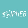Логотип телеграм канала @iphebrussia — IPhEB фармацевтическая выставка
