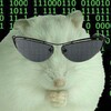 Логотип телеграм канала @iphkd — ПХКД