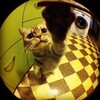 Логотип телеграм канала @ipissaa — 🕳️Нестабильный художник 🕳️