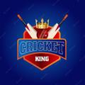 Telegram channel IPL TOSS WINNING REPORT 💯 logo
