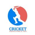 Telegram channel CRICKET FREE PREDICTION logo