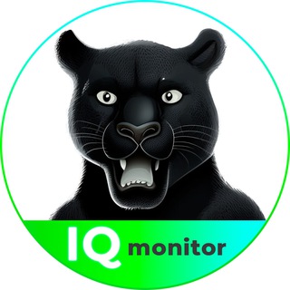 Логотип телеграм канала @iqmonitor1 — IQmonitoring 🐾