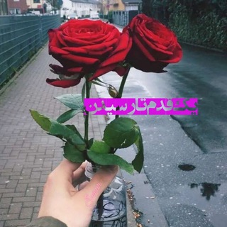 Logo de la chaîne télégraphique ir_delnveshte - ༄᭄✿یک قدم تا رسیدن࿐