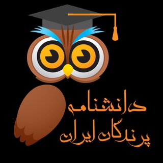 Logo of telegram channel iranbirds — Iran Birds 🦉
