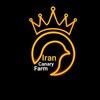 لوگوی کانال تلگرام irancanaryfarm — Iran Canary Farm🐦‍🔥