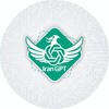 لوگوی کانال تلگرام irangptplus — IranGPT
