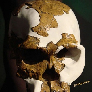 Logo of telegram channel irangreatwal — @evoluscience