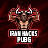 Telegram channel Iran Hacks Pubg logo