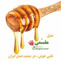 Logo saluran telegram iranhony — 🍯 عسل مقسمی🍯