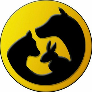 Logo of telegram channel iranian_animal_adopt — واگذاری رایگان حیوانات