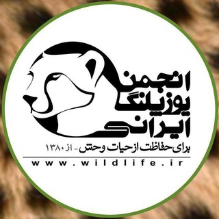 لوگوی کانال تلگرام iraniancheetahsociety — انجمن یوزپلنگ ایرانی
