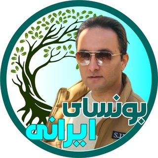 Logo of telegram channel iranibonsai_ch — 🌳 کانال تلگرامی بونسای ایرانی 🌷
