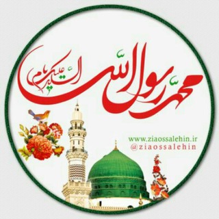 لوگوی کانال تلگرام iranihayezamin — زمینی ها