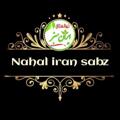 Logo saluran telegram iransabznahal — نهالستان ایران سبز《امیری》