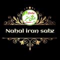 لوگوی کانال تلگرام iransabznahal — نهالستان ایران سبز《امیری》