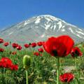 لوگوی کانال تلگرام iranzaminmanvato — Iranzamin
