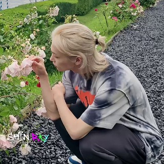 Логотип телеграм канала @irayhyu — ⲙᥱнᴛ᧐᧘᧐ʙыᥱ ᥴᥙᴦᥲρᥱᴛы🫧
