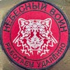 Логотип телеграм канала @irbis_svo — Небесный Воин