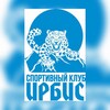 Логотип телеграм канала @irbisbarnaul — СК «Ирбис» | Официальный канал