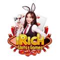 Logo saluran telegram irichinfo — IRICH 168