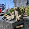 Логотип телеграм -каналу irinairor — Одесские прогулки.