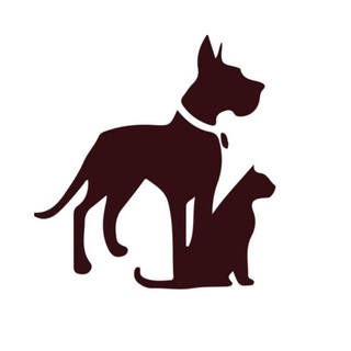 Логотип телеграм канала @irinamudrova — "Открой своё сердце" и наши животные