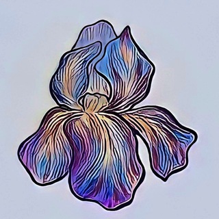 Логотип телеграм канала @iris_coffee — _iris_coffee