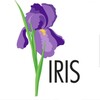 Логотип телеграм канала @irisdonaga — IRIS. штучно. retail.
