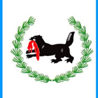 Логотип телеграм канала @irkutsknovosti — Иркутск / Новости Иркутска