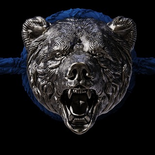 Логотип телеграм канала @iron_bear_rf — Железный Медведь