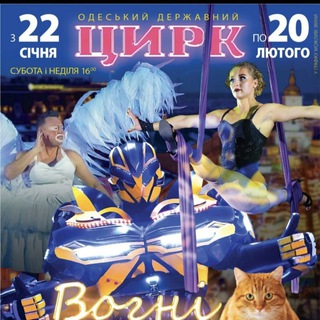 Логотип телеграм канала @ironcircus — ironcircus